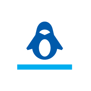 Linux Based Recovery Environment