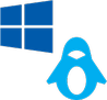 Windows PE and Linux based Recovery Environment